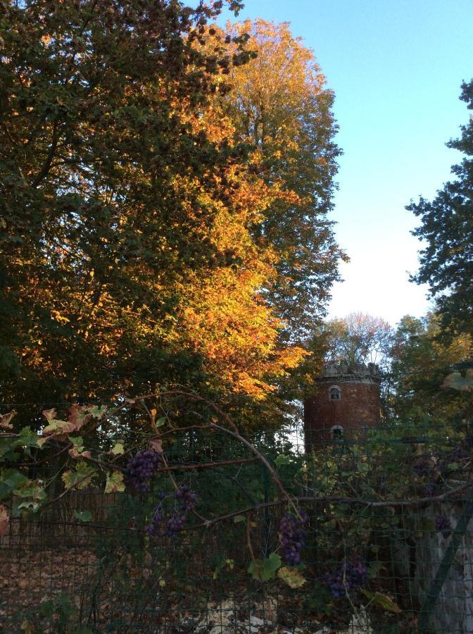 L'Orme Des Voyageurs Bed & Breakfast Boutigny Exterior photo